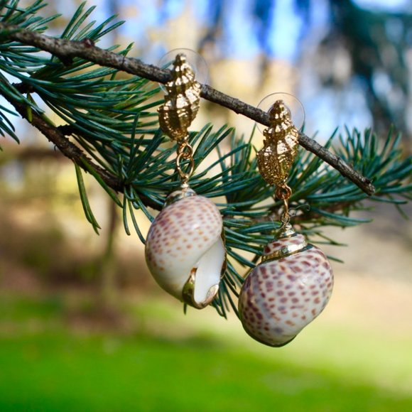 New Natural Seashell beach summer Dangle Earrings Ocean Boho Native - Picture 9 of 13